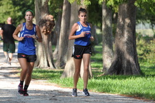 Enlarge photo 154