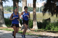 Enlarge photo 163