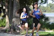 Enlarge photo 213
