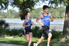 Enlarge photo 214