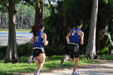 Enlarge photo 218
