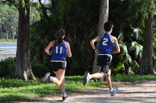 Enlarge photo 219