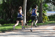 Enlarge photo 221