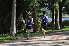 Enlarge photo 222