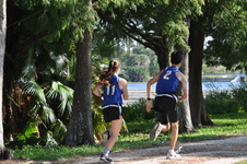 Enlarge photo 223