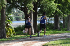 Enlarge photo 225