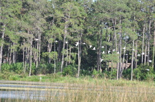 Enlarge photo 226