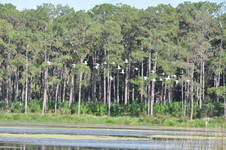Enlarge photo 228