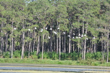 Enlarge photo 227