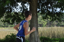 Enlarge photo 271