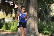Enlarge photo 305