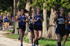 Enlarge photo 373