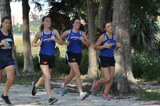 Enlarge photo 415