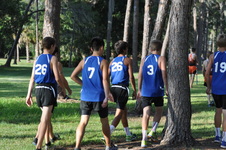 Enlarge photo 541