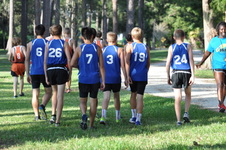 Enlarge photo 544
