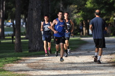 Enlarge photo 713