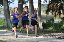Enlarge photo 795