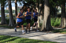 Enlarge photo 799