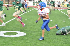 Enlarge photo 23