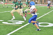 Enlarge photo 24