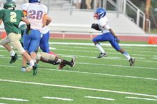 Enlarge photo 30