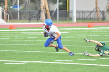 Enlarge photo 41