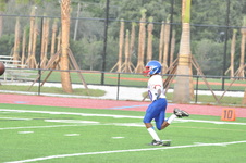 Enlarge photo 55