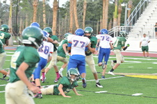 Enlarge photo 56