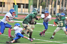 Enlarge photo 80