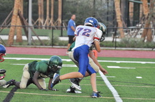 Enlarge photo 85