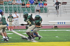 Enlarge photo 103