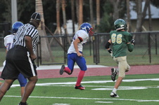 Enlarge photo 114
