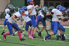 Enlarge photo 124