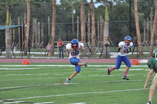 Enlarge photo 132