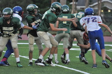 Enlarge photo 133