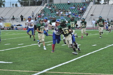 Enlarge photo 141