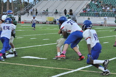 Enlarge photo 154