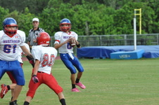 Enlarge photo 41