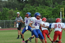 Enlarge photo 43