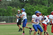Enlarge photo 44