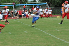Enlarge photo 49