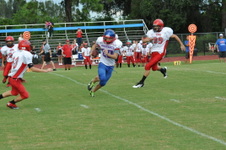 Enlarge photo 51