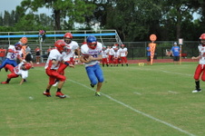 Enlarge photo 52