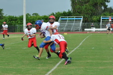 Enlarge photo 58