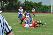 Enlarge photo 61