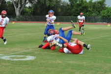 Enlarge photo 62