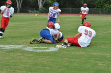 Enlarge photo 65