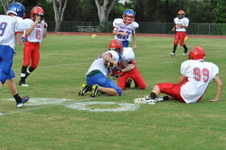 Enlarge photo 66
