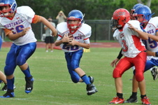 Enlarge photo 73