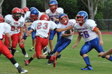 Enlarge photo 76
